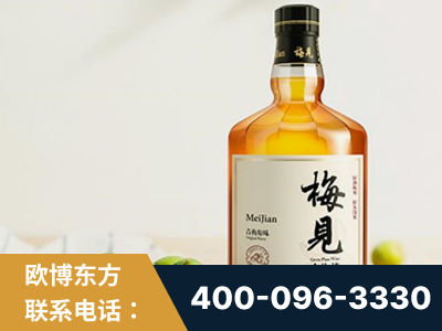 桂林-梅见青梅酒